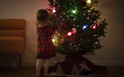 O pinheiro de Natal e a resiliência